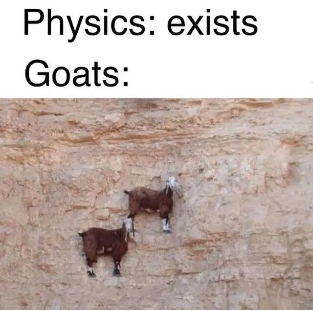 Physics exists Goats