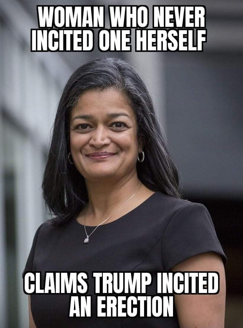 WOMAN WHO NEVER INCITED ONE HERSELF CLAIMS TRUMP INCITED AN ERECTION