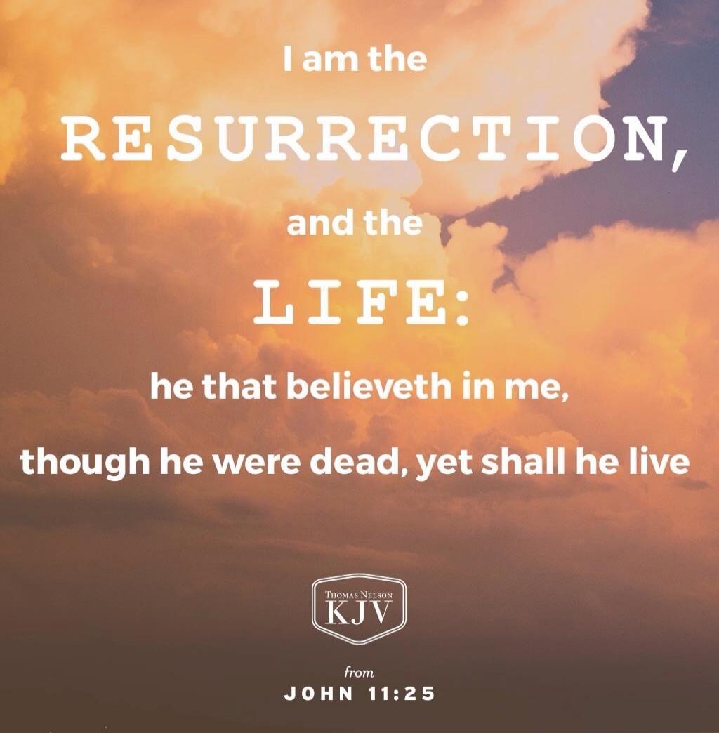 I am the RESURRECTION, and the LIFE: he that believeth in me, though he were dead, yet shall he live
FROM JOHN 11:25