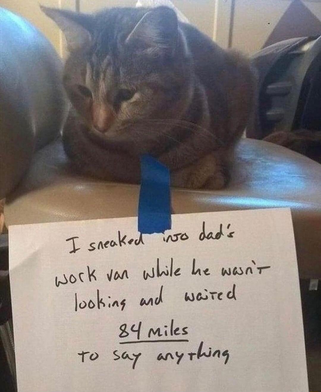 otk ven while he wesar oolnf MJ wested 84 miles To Sr uer