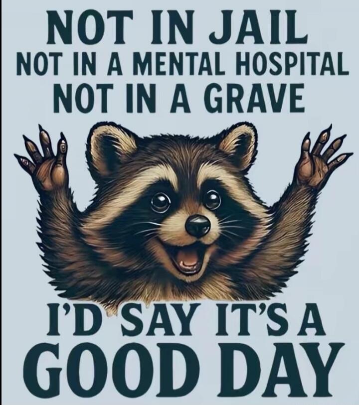 NOT IN JAIL NOT IN A MENTAL HOSPITAL NOT IN A GRAVE I'D SAY IT'S A GOOD DAY