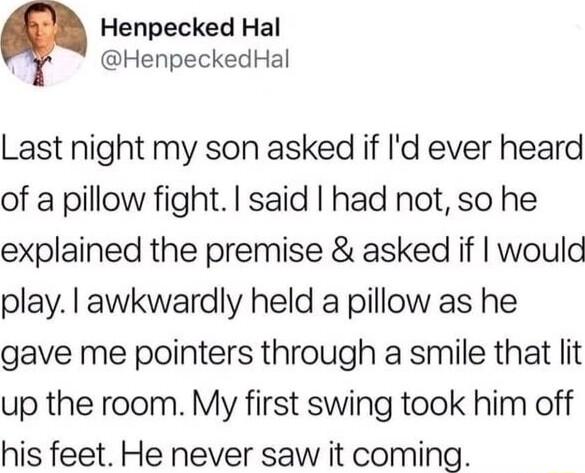 Henpecked Hal HenpeckedHal Last night my son asked if Id ever heard of a pillow fight said had not so he explained the premise asked if would play awkwardly held a pillow as he gave me pointers through a smile that lit up the room My first swing took him off his feet He never saw it coming