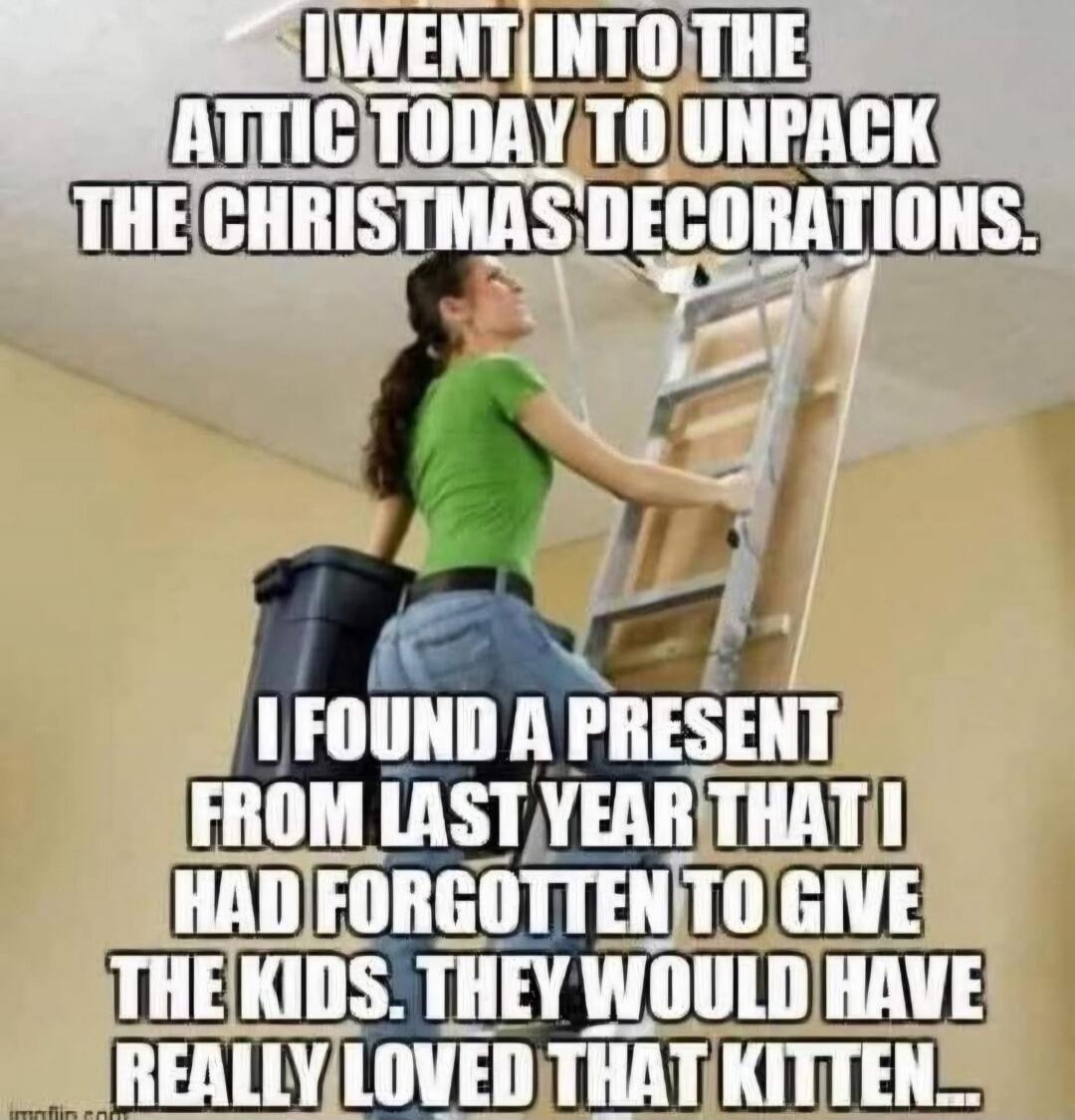 I went into the attic today to unpack the Christmas decorations. I found a present from last year that I had forgotten to give the kids. They would have really loved that kitten.