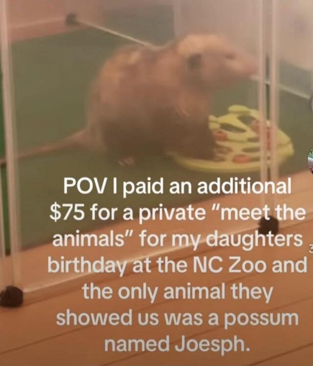 POV I paid an additional $75 for a private 