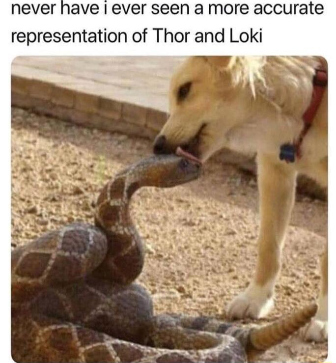 ave ever seen a more accurate representation of Thor and Loki