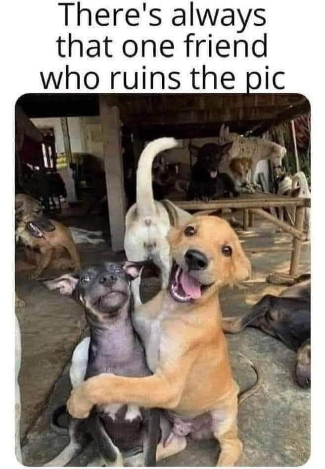 There's always that one friend who ruins the pic