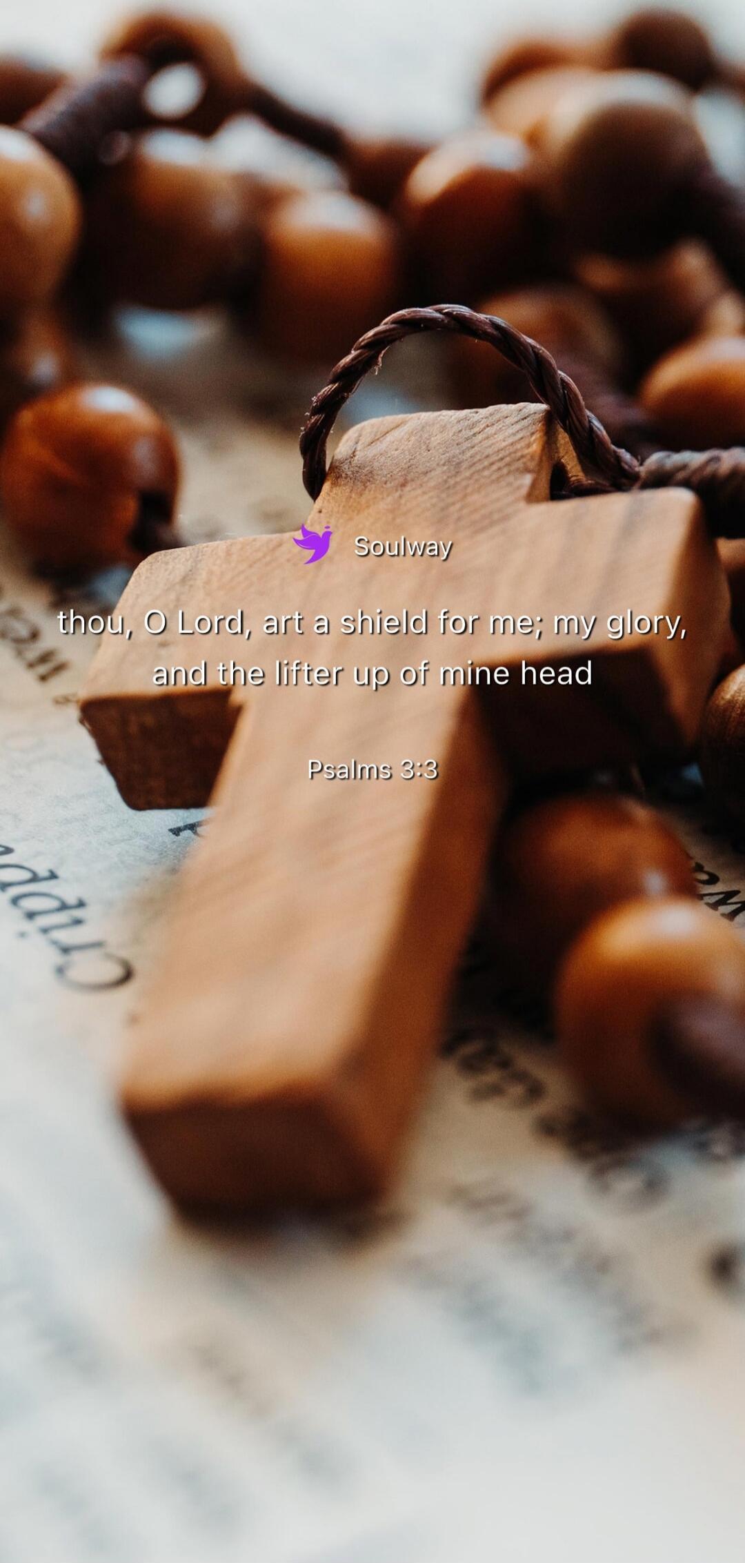 Soulway thou, O Lord, art a shield for me; my glory, and the lifter up of mine head Psalms 3:3