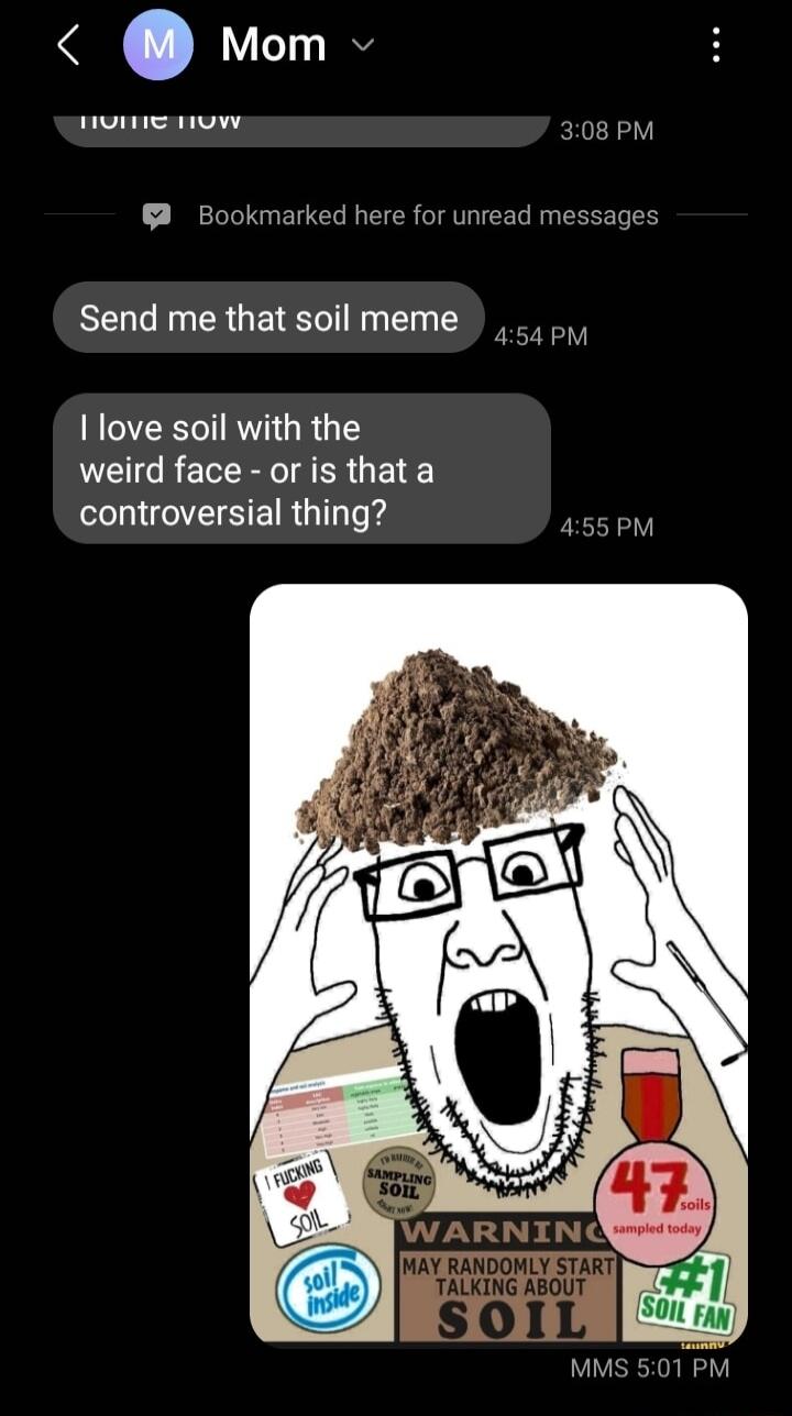 Mom nue nuw 308 PM Send me that soil meme AR GRG T weird face or is that a SOOI SEIRGTTerd 455 PM