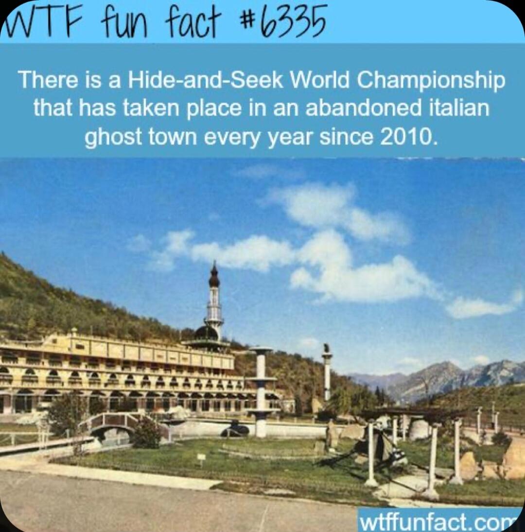 INTF fun fact 6330 D