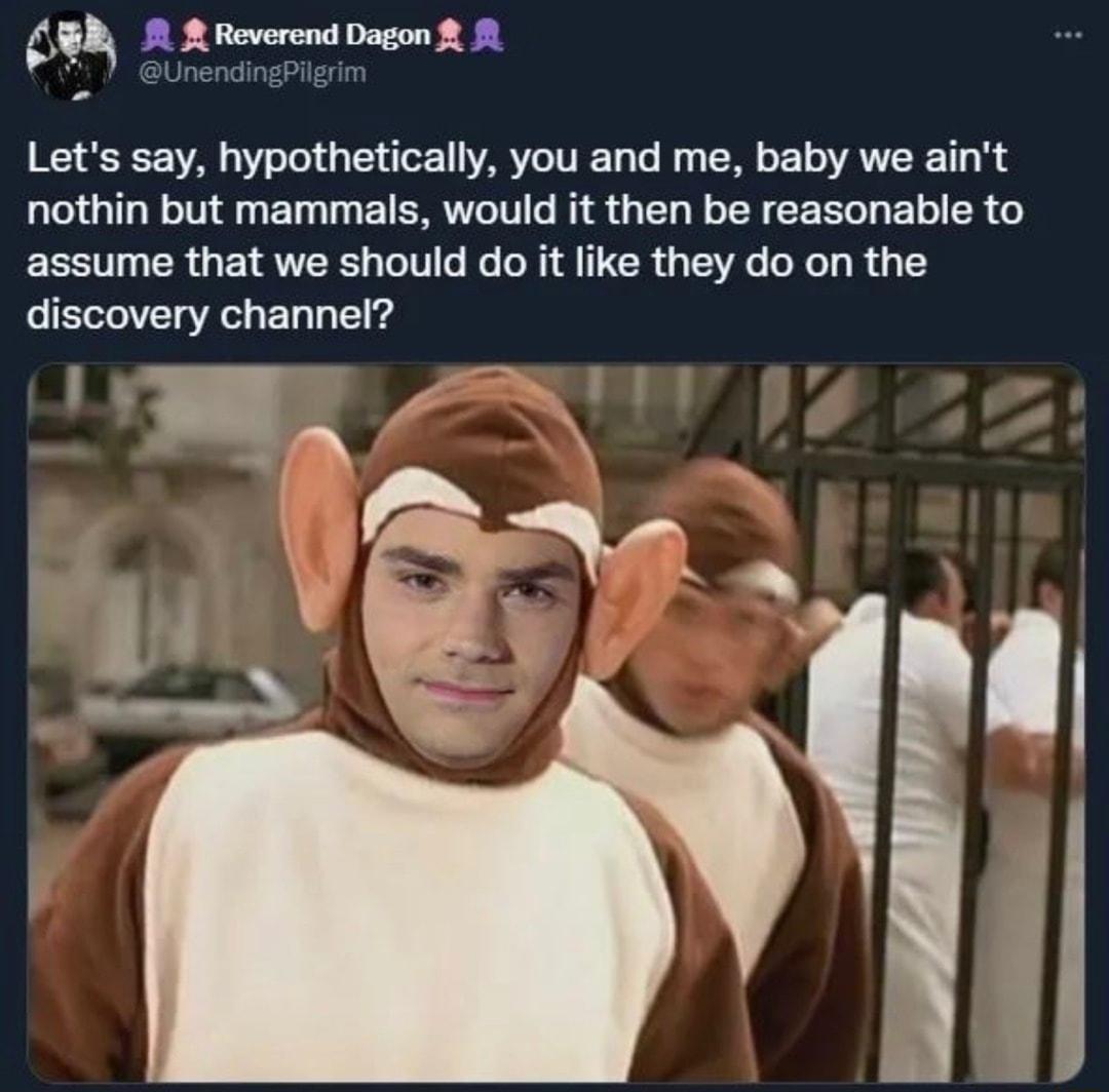 A R Reverend Dagon UnendingPilgrim I T 1 oY d g T3 o VAR Vo TWIETo Yo Wy g oW o 10 VAR TT i o nothin but mammals would it then be reasonable to assume that we should do it like they do on the fo E1eT0VT gV F 14 1o 121 4 1 y_ 4 Y r l VEV o yan q e 4