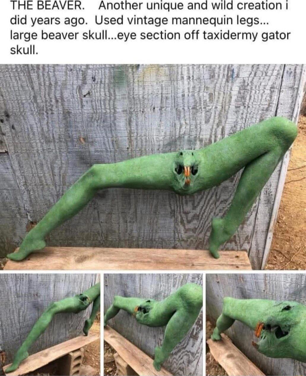 THE BEAVER Another unique and wiid creation did years ago Used vintage mannequin legs large beaver skulleye section off taxidermy gator