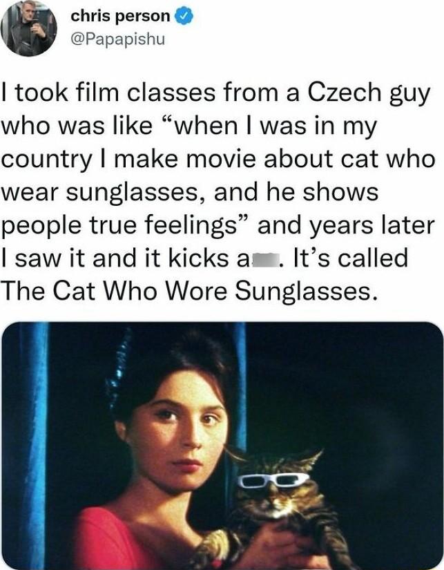 S chris person Papapishu took film classes from a Czech guy who was like when was in my country make movie about cat who wear sunglasses and he shows people true feelings and years later saw it and it kicks a Its called The Cat Who Wore Sunglasses
