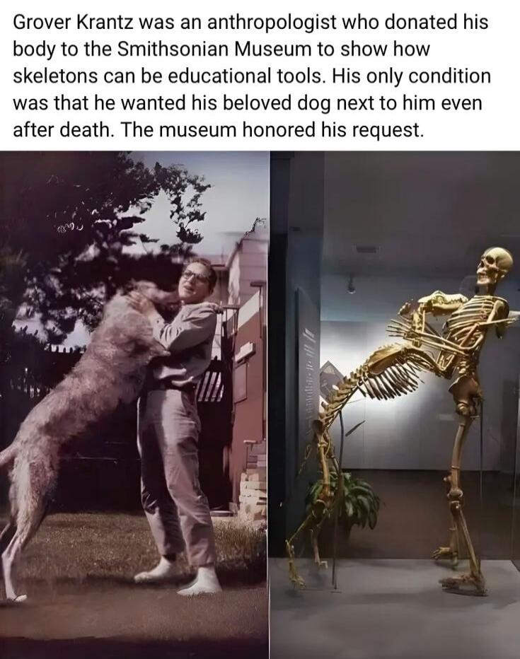 Grover Krantz was an anthropologist who donated his body to the Smithsonian Museum to show how skeletons can be educational tools. His only condition was that he wanted his beloved dog next to him even after death. The museum honored his request.