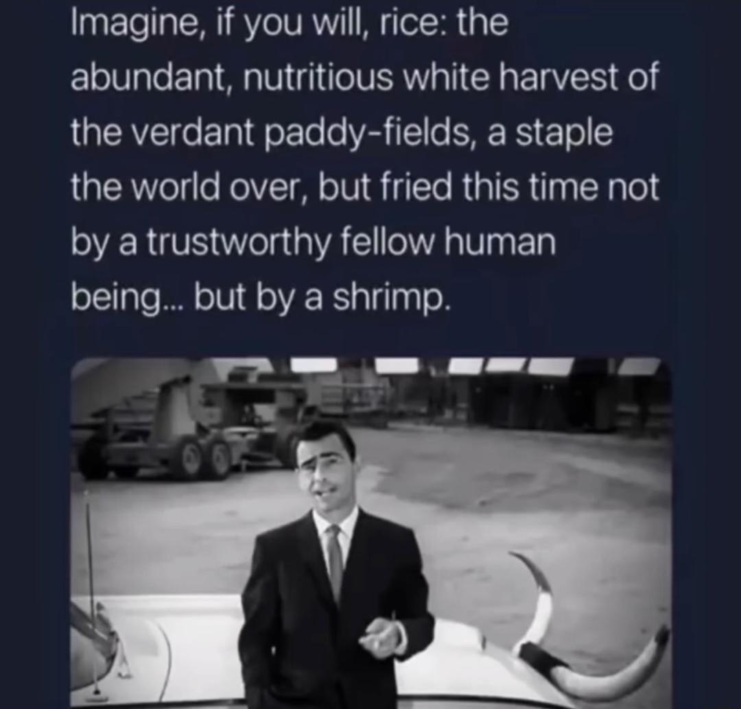 Imagine if you will rice the abundant nutritious white harvest of the verdant paddy fields a staple the world over but fried this time not SR GV el R 0 VT T being but by a shrimp