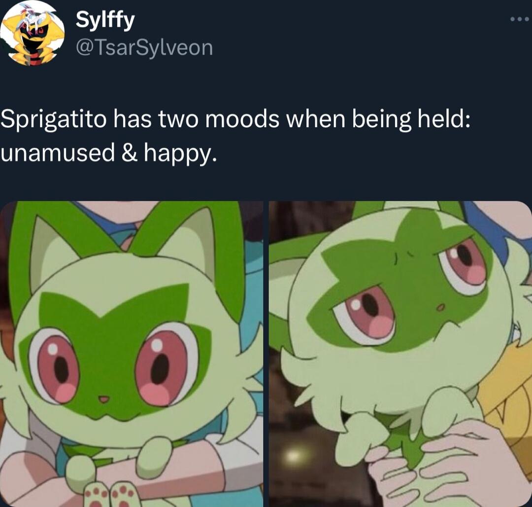 Sylffy EETSVIVERT L 4 Sprigatito has two moods when being held unamused happy