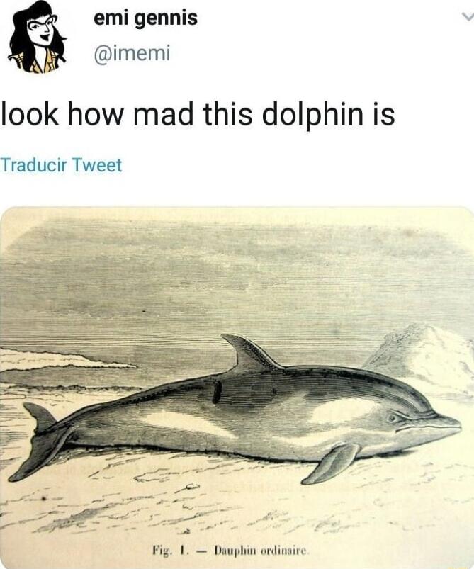 emi gennis imemi look how mad this dolphin is Traducir Tweet