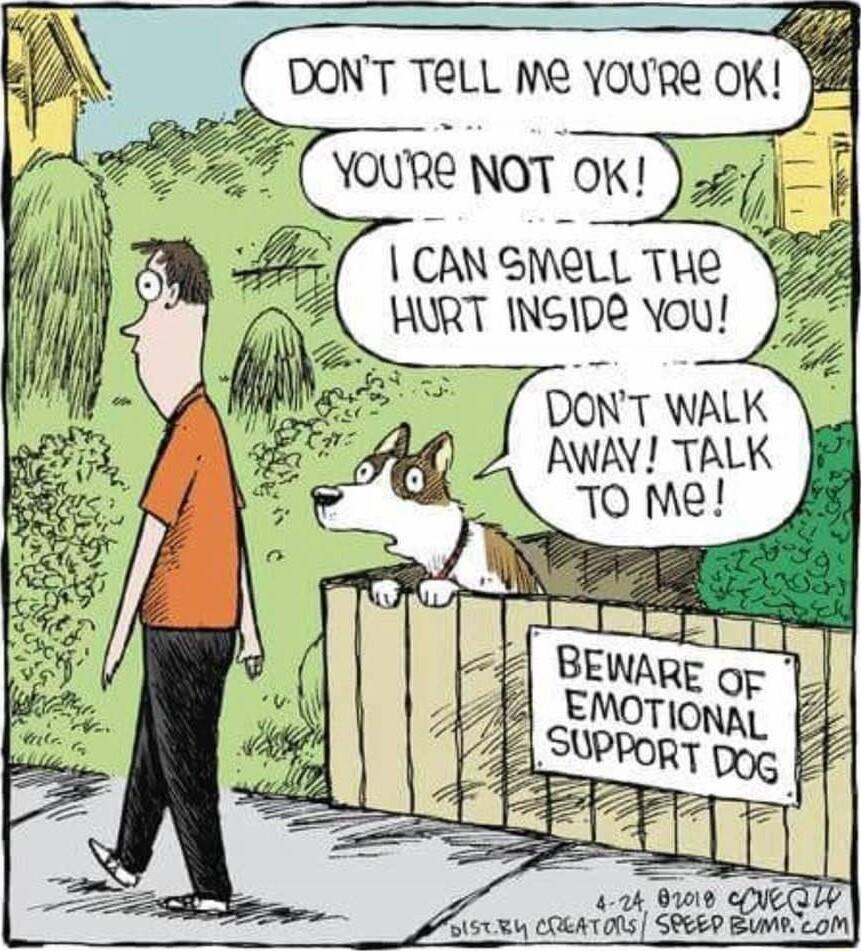 DONT TELL Me YOURe OK CANGMELL THe HURT INGID You 77 I