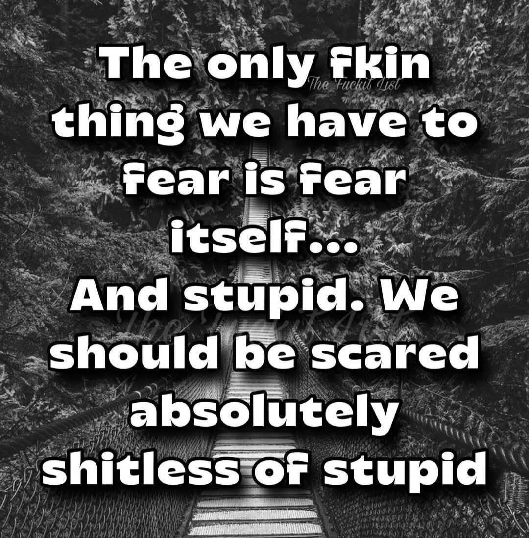 The only fkin thing we have to fear is fear itself... And stupid. We should be scared absolutely shitless of stupid