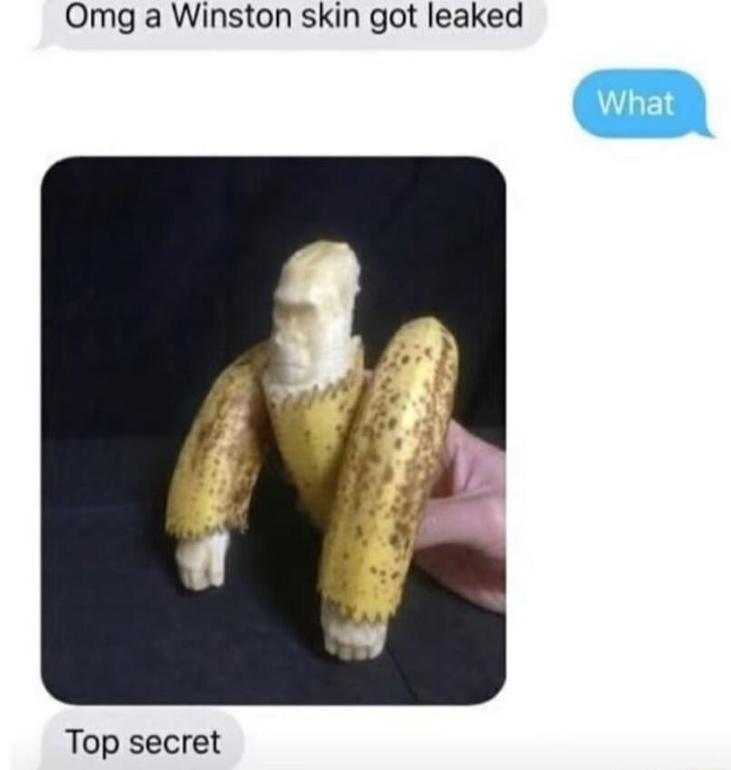 Omg a Winston skin got leaked Top secret