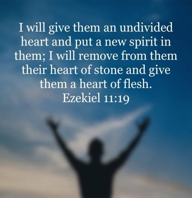 I will give them an undivided heart and put a new spirit in them; I will remove from them their heart of stone and give them a heart of flesh. Ezekiel 11:19