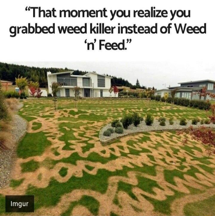 That moment you realize you grabbed weed killer instead of Weed n Feed Imgur