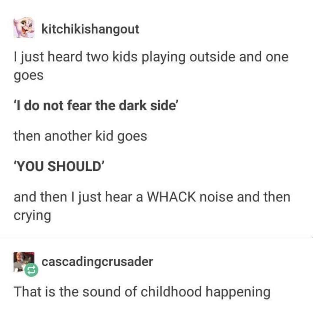 w kitchikishangout just heard two kids playing outside and one goes l do not fear the dark side then another kid goes YOU SHOULD and then just hear a WHACK noise and then crying cascadingcrusader That is the sound of childhood happening