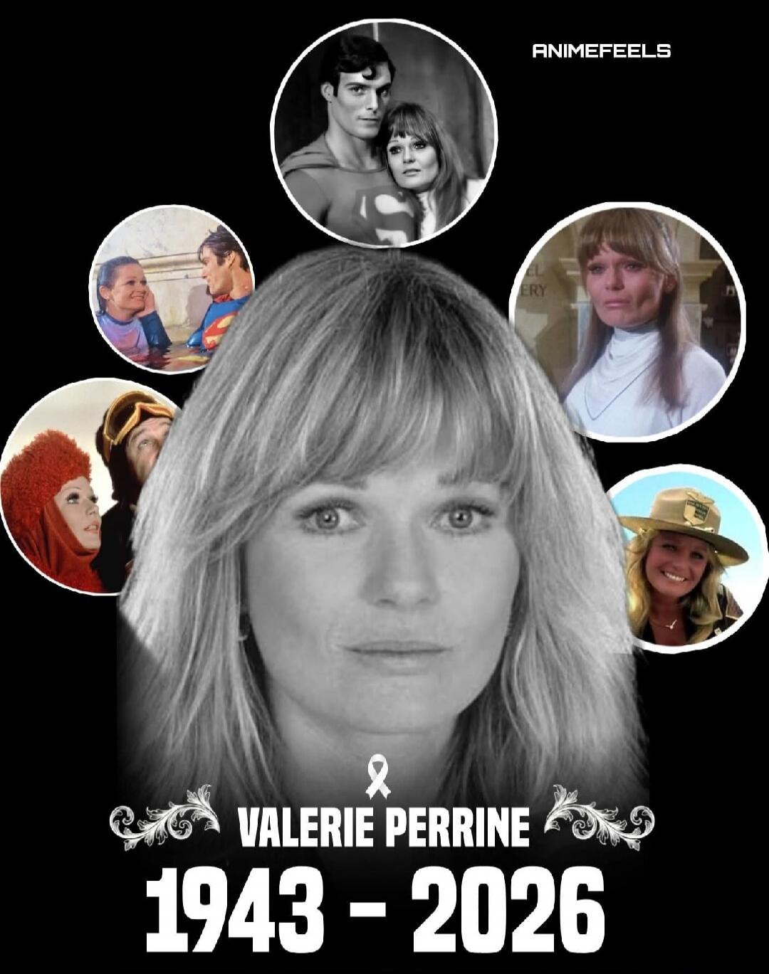 ANIMEFEELS VALERIE PERRINE 1943 - 2026