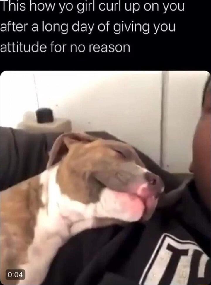 LRalSRale A eXegNelV NV oXelgRYelV after a long day of giving you attitude for no reason