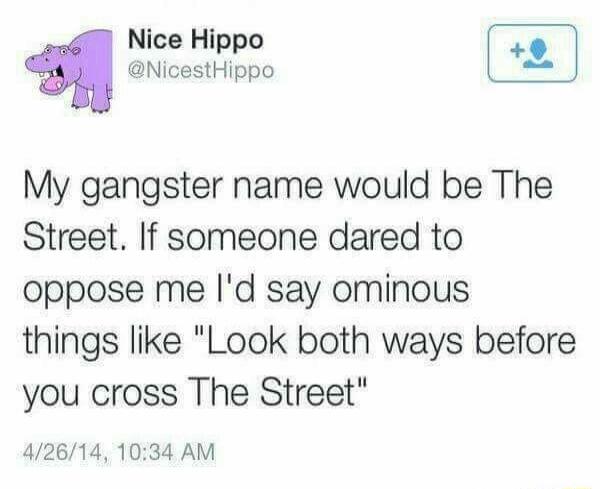 Nice Hippo NicestHippo My gangster name would be The Street If someone dared to oppose me Id say ominous things like Look both ways before you cross The Street 42614 1034 AM