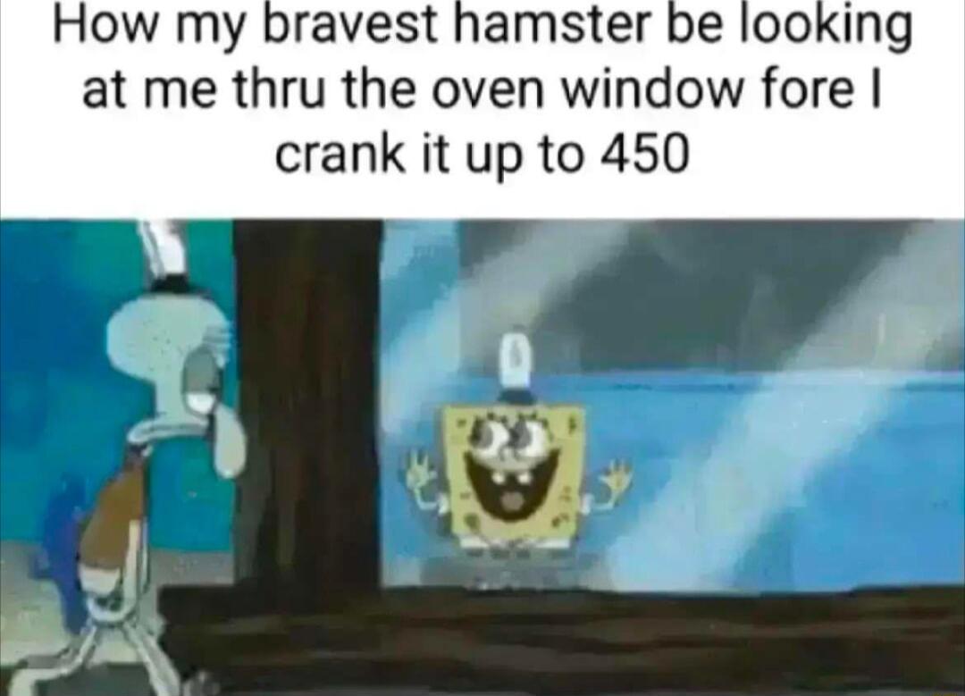 How my bravest hamster be I00King at me thru the oven window fore crank it up to 450