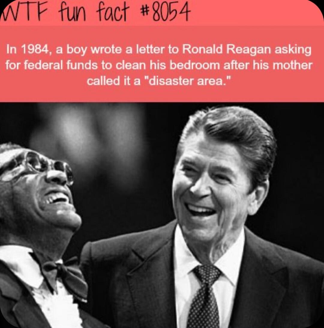 NTF fun fact 80b4