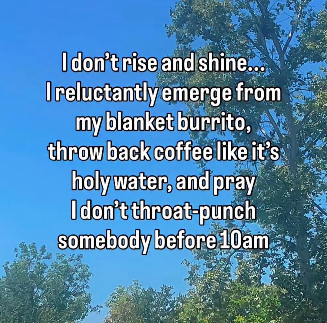I don't rise and shine... I reluctantly emerge from my blanket burrito, throw back coffee like it's holy water, and pray I don't throat-punch somebody before 10am