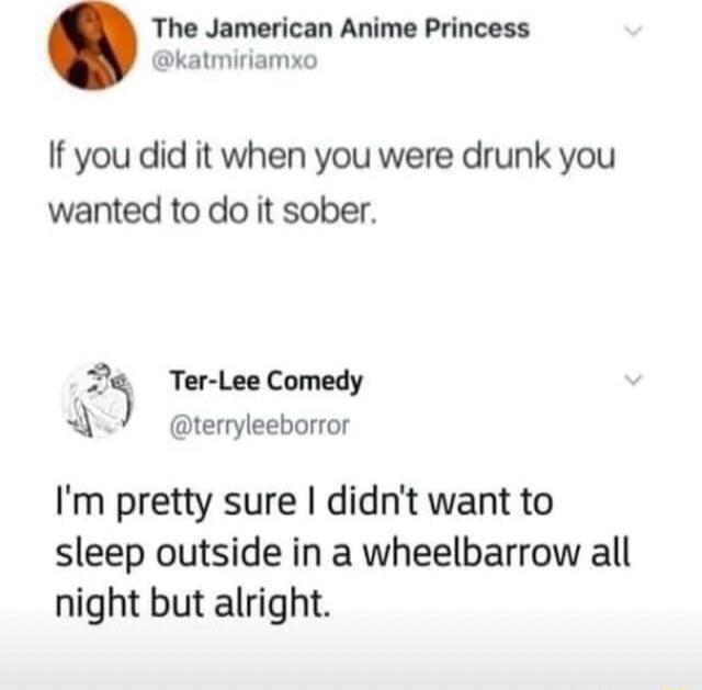 The Jamerican Anime Princess katmiriamxo If you did it when you were drunk you wanted to do it sober 57 Ter Lee Comedy 4 terryleeborror Im pretty sure didnt want to sleep outside in a wheelbarrow all night but alright