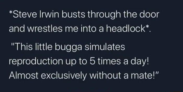 RSV W N oV Ehialfelb o aRtalYelolog and wrestles me into a headlock This little bugga simulates reproduction up to 5 times a day Almost exclusively without a mate