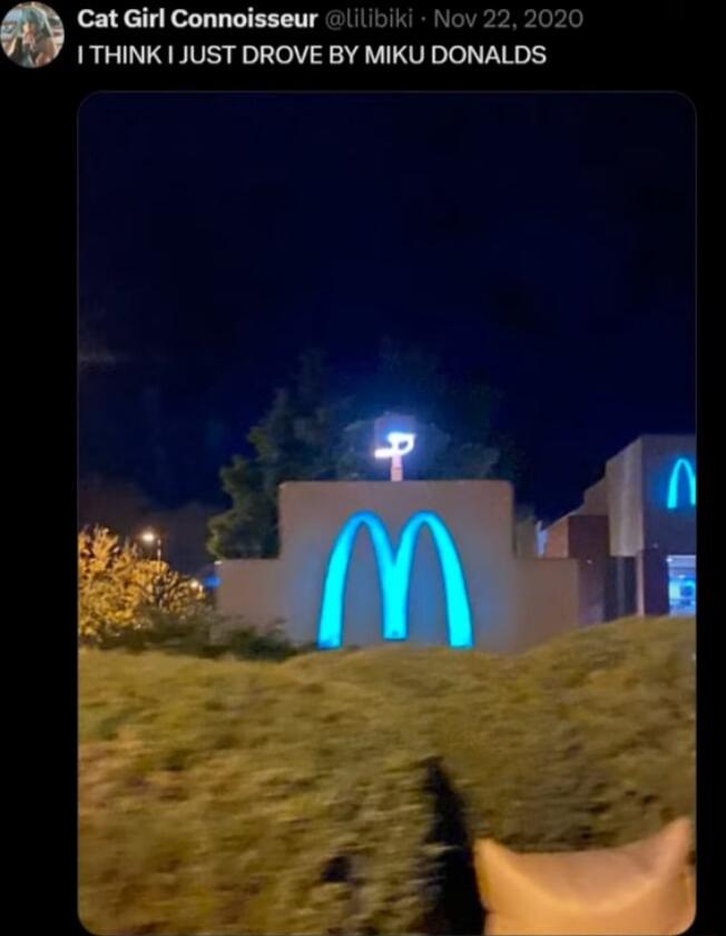 Cat Girl Connoisseur I THINK JUST DROVE BY MIKU DONALDS