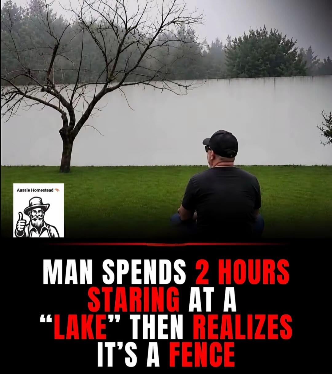 Aussie Homestead. MAN SPENDS 2 HOURS STARING AT A 