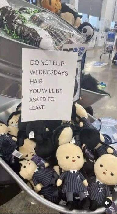 DO NOT FLIp WEDNESDAYS HAIR YOU WILL BE EDTO