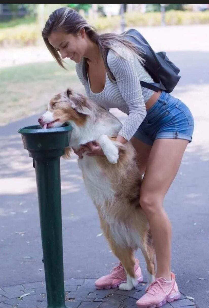 A woman helps a dog drink water from a public fountain.