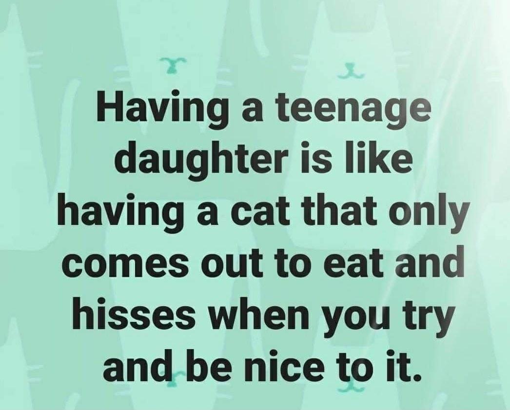 Having a teenage daughter is like having a cat that only comes out to eat and hisses when you try and be nice to it