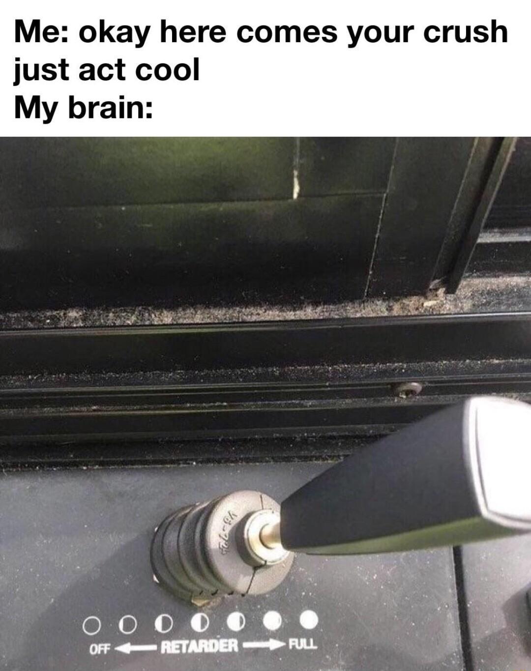 Me okay here comes your crush just act cool My brain