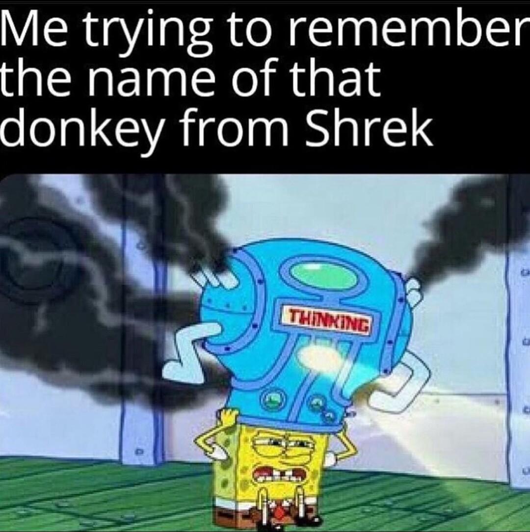 Me trying to remember the name of that donkey from Shrek N s