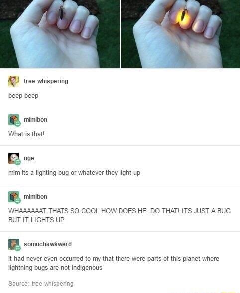 e wispering boep boep oo Whatis thatl B mim its a lighting bug or whatever they ight up 8 miivon WHAAAAAAT THATS SO COOL HOW DOES HE DO THATI ITS JUST A BUG BUT IT LIGHTS UP B somcrovauers it had never even occurred to my that there were parts of this planst where fightning bugs are not indigenous