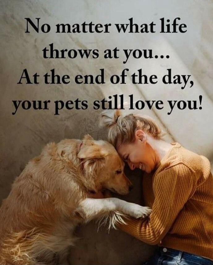 No matter what life throws at you... At the end of the day, your pets still love you!