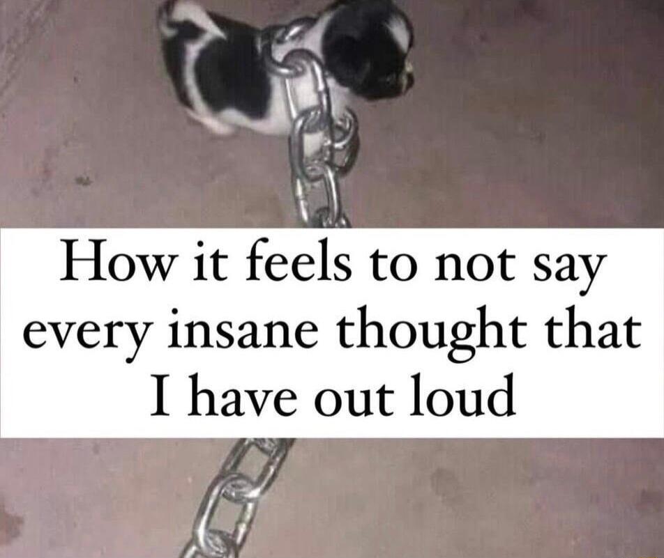 ak How it feels to not say every insane thought that I have out loud N
