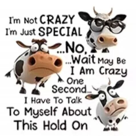 I'm Not CRAZY I'm Just SPECIAL ...No, ...Wait May Be I Am Crazy One Second... I Have To Talk To Myself About This Hold On
