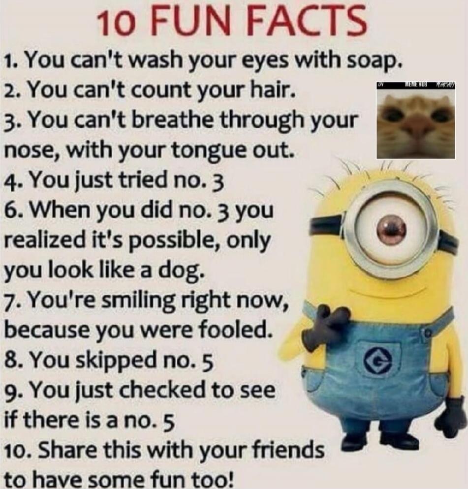 10 FUN FACTS
1. You can't wash your eyes with soap.
2. You can't count your hair.
3. You can't breathe through your nose, with your tongue out.
4. You just tried no. 3
6. When you did no. 3 you realized it's possible, only you look like a dog.
7. You're smiling right now, because you were fooled.
8. You skipped no. 5
9. You just checked to see if t