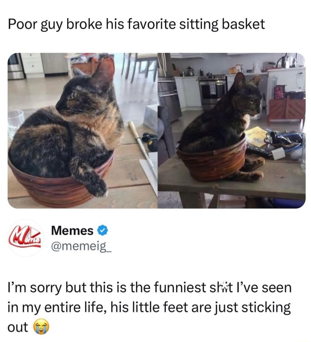 Poor guy broke his favorite sitting basket Memes memeig_ Im sorry but this is the funniest skit Ive seen in my entire life his little feet are just sticking out