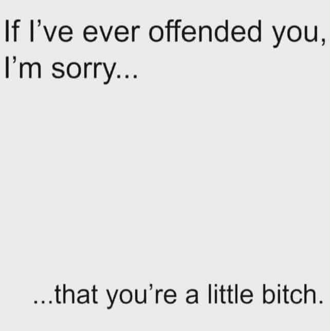 If I've ever offended you, I'm sorry... ...that you're a little bitch.