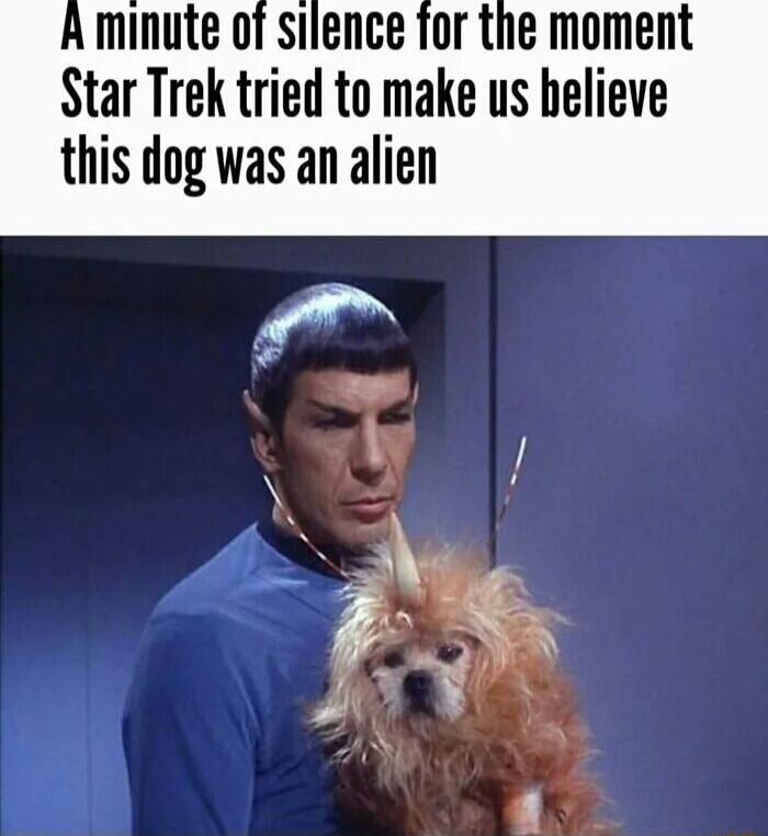 A minute of silence for the moment Star Trek tried to make us believe this dog was an alien