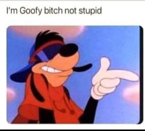 I'm Goofy bitch not stupid